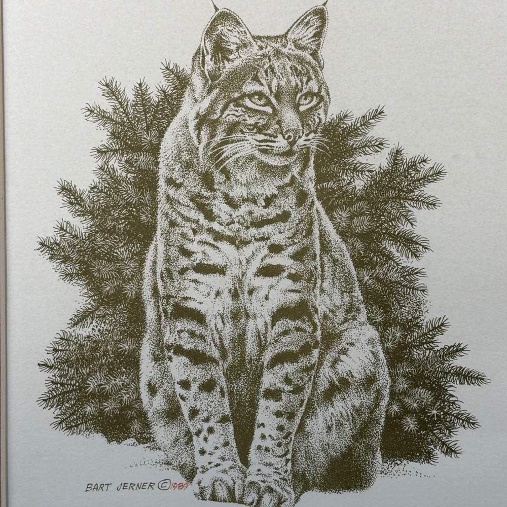 Bart Jerner Bobcat Lynx Rufus Signed Print 85/2000 Wood Frame 1989 Wildlife Art
